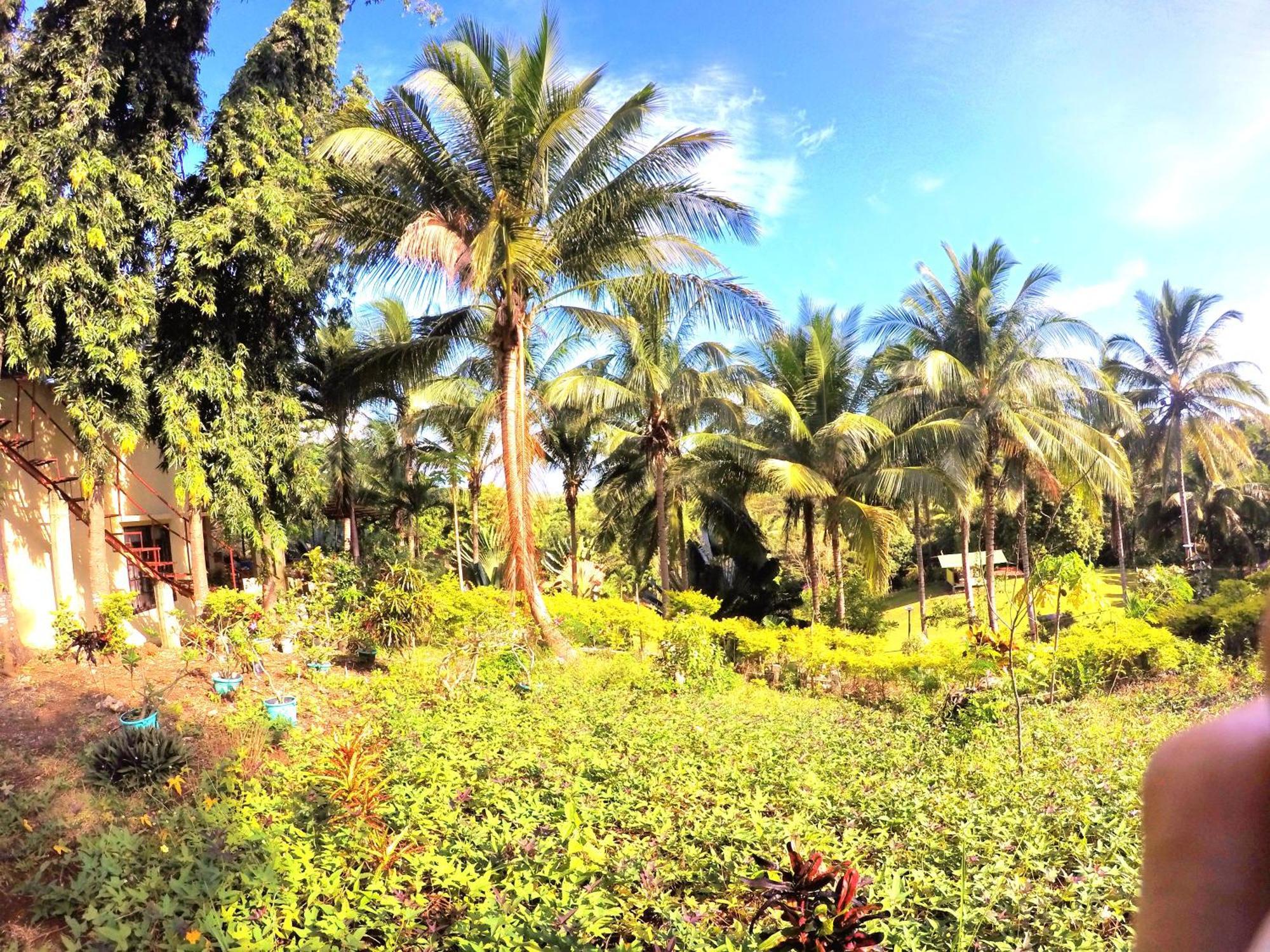 Al Hamra Jungle Resort (Adults Only) Puerto Princesa Extérieur photo